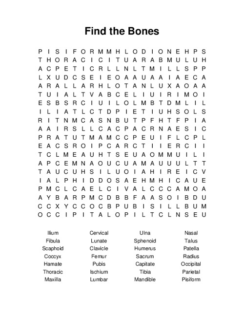 Find the Bones Word Search Puzzle