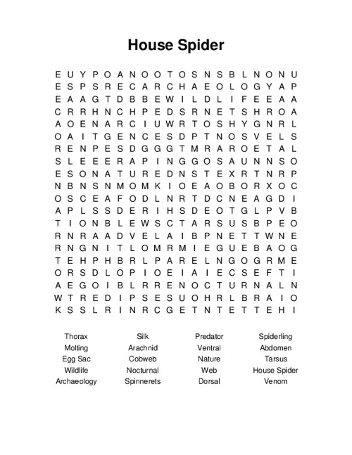 House Spider Word Search Puzzle