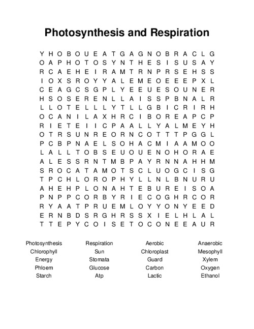 Photosynthesis and Respiration Word Search Puzzle