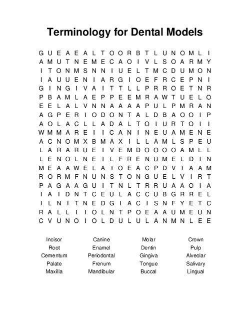 Terminology for Dental Models Word Search Puzzle