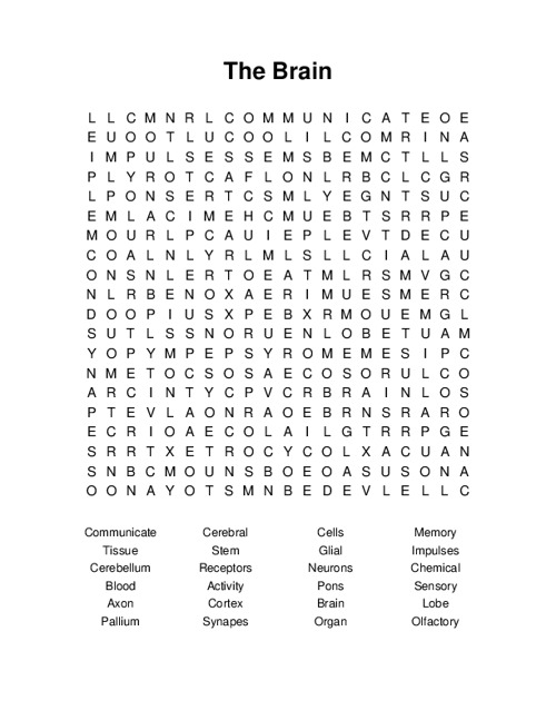 The Brain Word Search Puzzle