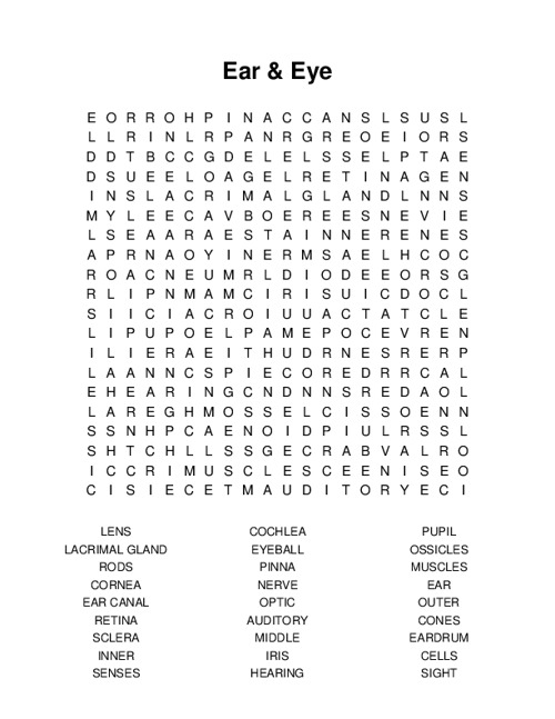 Ear & Eye Word Search Puzzle