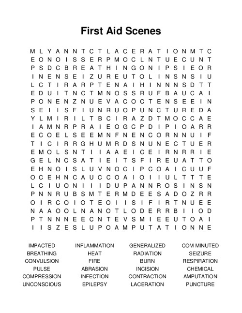 First Aid Scenes Word Search Puzzle