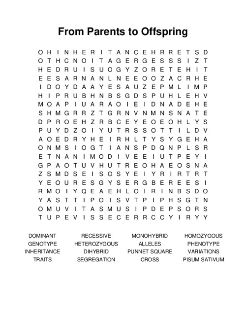 From Parents to Offspring Word Search Puzzle