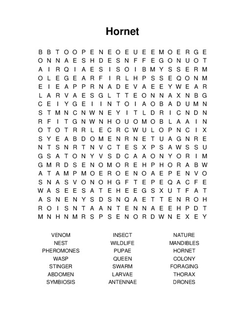 Hornet Word Search Puzzle