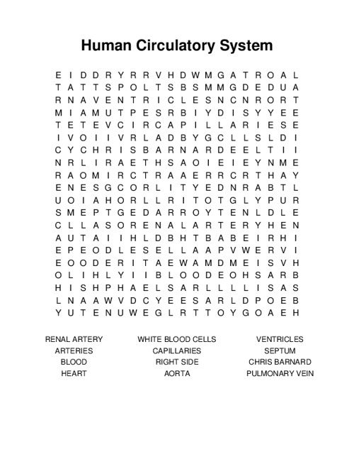 Human Circulatory System Word Search Puzzle