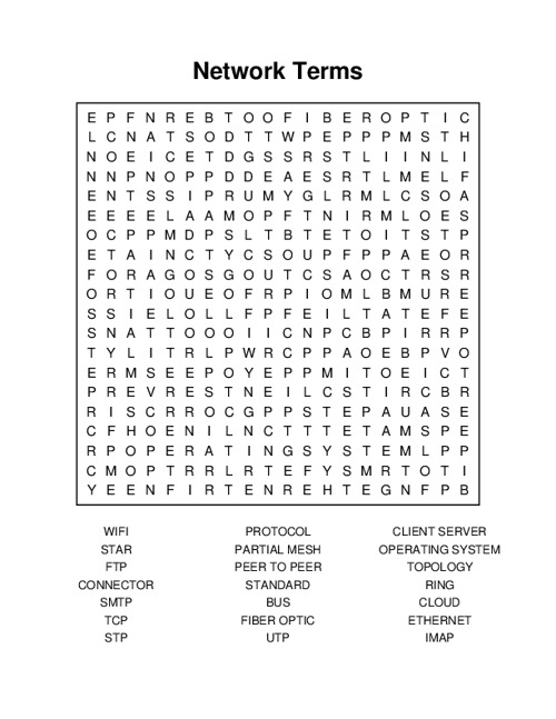Network Terms Word Search Puzzle
