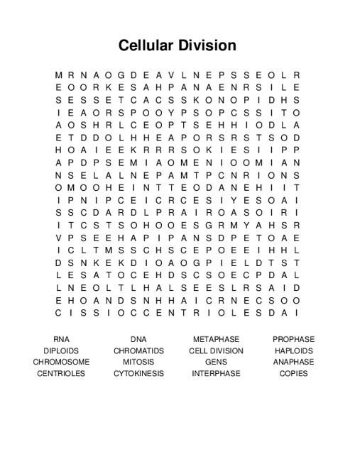 Cellular Division Word Search Puzzle