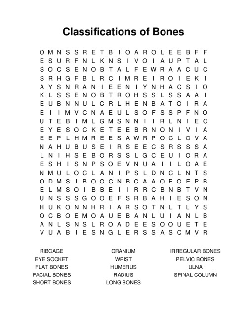Classifications of Bones Word Search Puzzle
