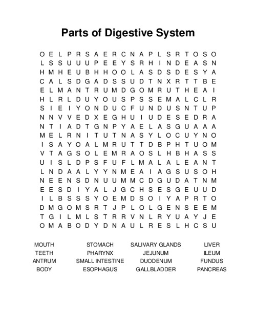 Parts of Digestive System Word Search Puzzle