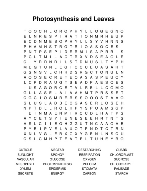 Photosynthesis and Leaves Word Search Puzzle