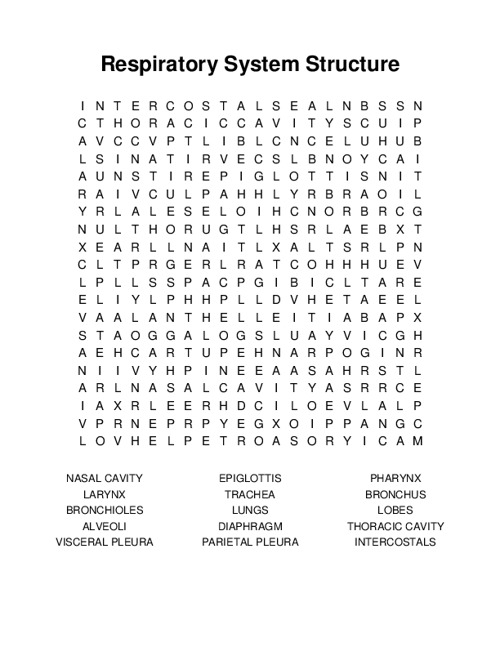Respiratory System Structure Word Search Puzzle