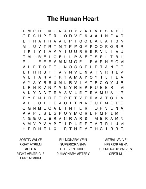 The Human Heart Word Search Puzzle