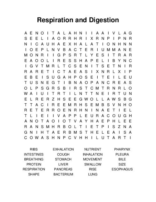 Respiration and Digestion Word Search Puzzle