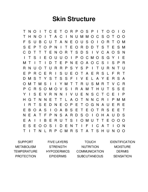 Skin Structure Word Search Puzzle
