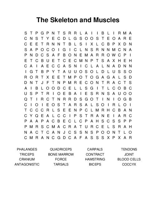 The Skeleton and Muscles Word Search Puzzle