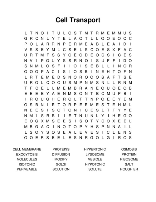 Cell Transport Word Search Puzzle