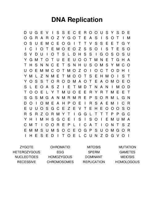 DNA Replication Word Search Puzzle