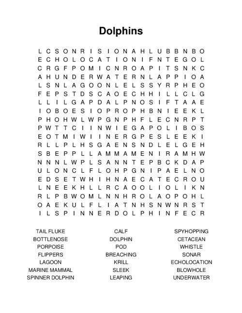 Dolphins Word Search Puzzle