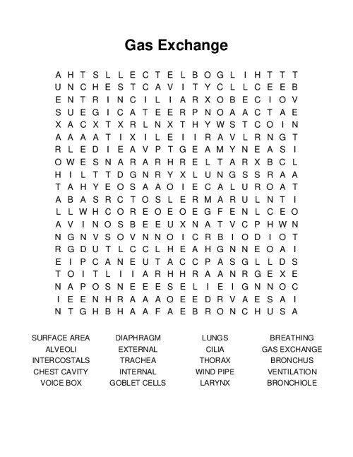 Gas Exchange Word Search Puzzle