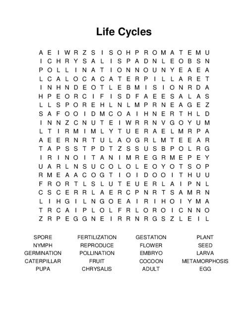 Life Cycles Word Search Puzzle