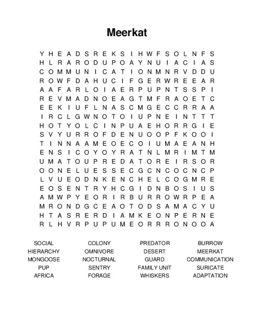 Meerkat Word Search Puzzle