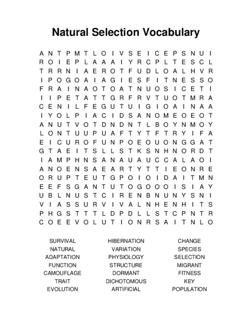 Natural Selection Vocabulary Word Search Puzzle