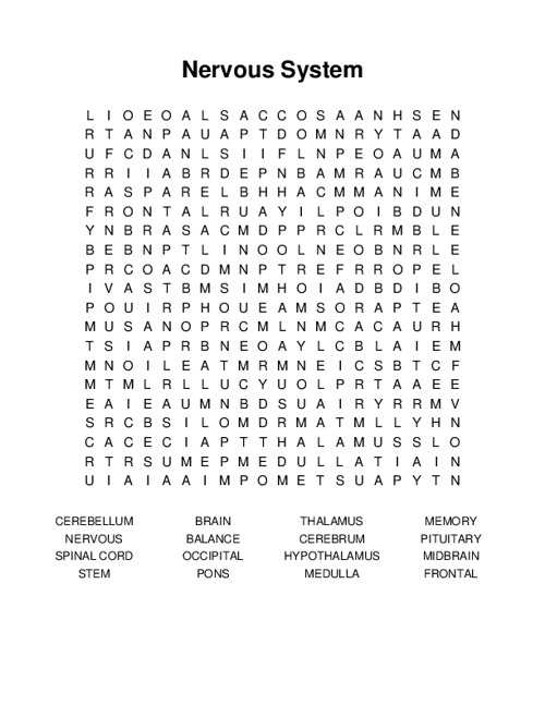 Nervous System Word Search Puzzle