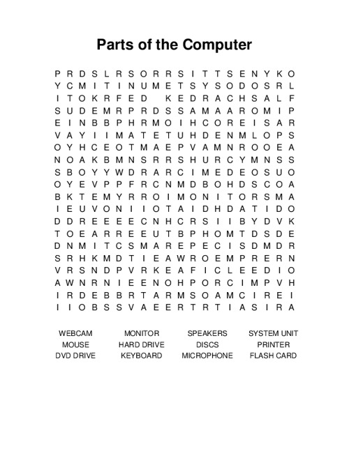 Parts of the Computer Word Search Puzzle