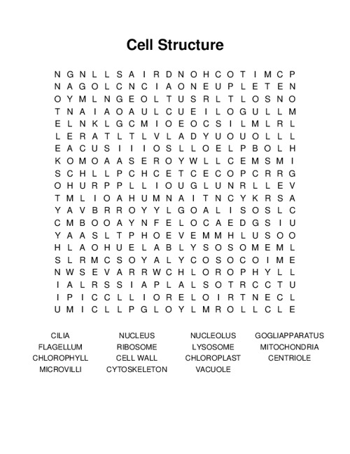 Cell Structure Word Search Puzzle