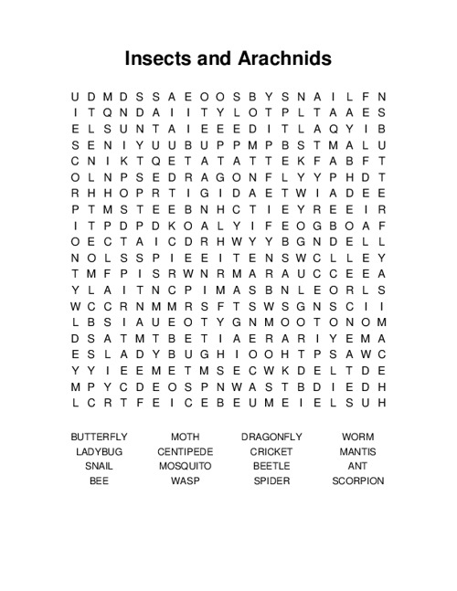 Insects and Arachnids Word Search Puzzle