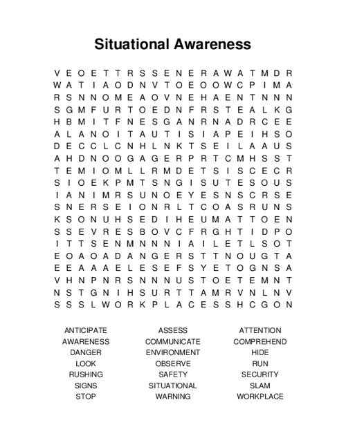 Situational Awareness Word Search Puzzle