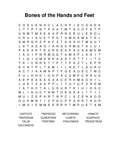 Bones of the Hands and Feet Word Search Puzzle