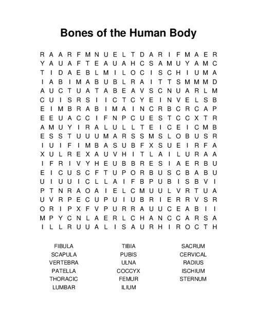 Bones of the Human Body Word Search Puzzle