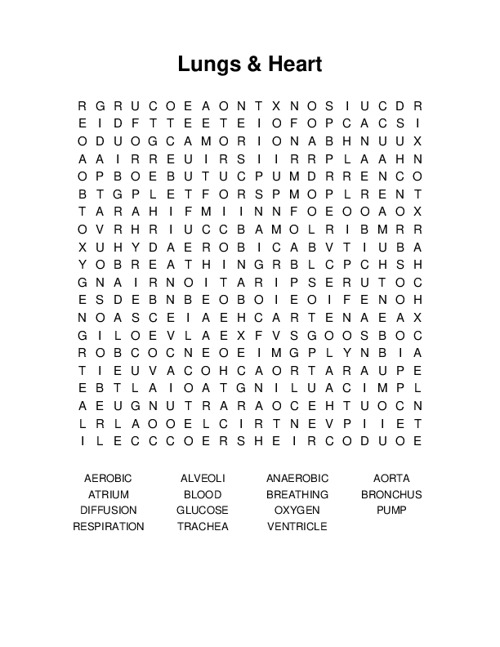 Lungs & Heart Word Search Puzzle