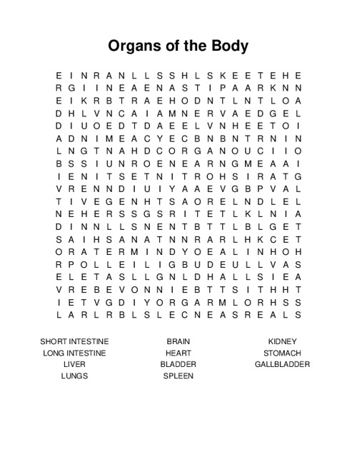 Organs of the Body Word Search Puzzle