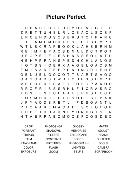 Picture Perfect Word Search Puzzle