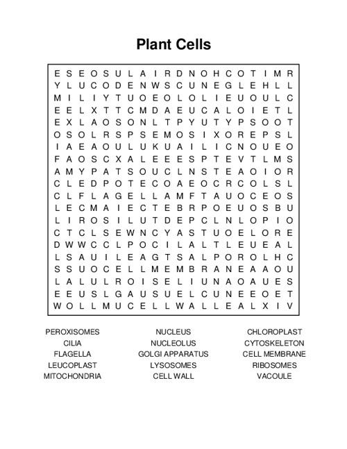 Plant Cells Word Search Puzzle