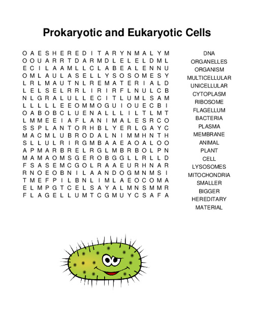 Prokaryotic and Eukaryotic Cells Word Search Puzzle