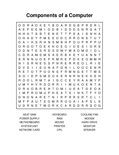 Components of a Computer Word Search Puzzle