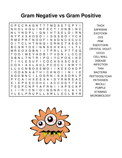 Gram Negative vs Gram Positive Word Search Puzzle