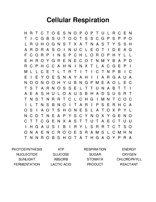 Cellular Respiration Word Search Puzzle