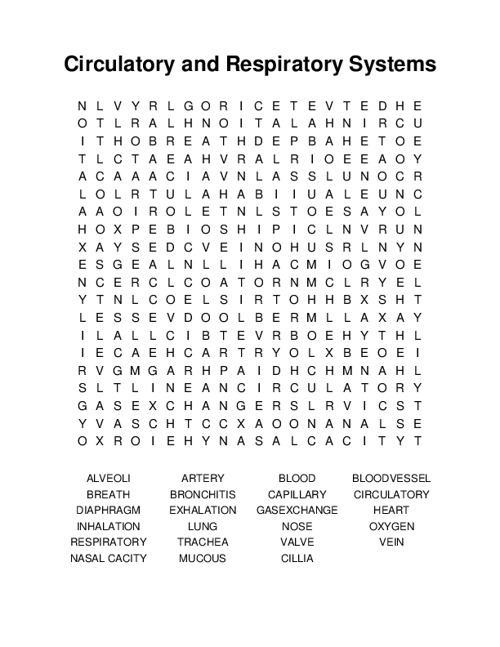 Circulatory and Respiratory Systems Word Search Puzzle