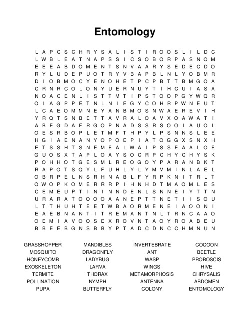 Entomology Word Search Puzzle