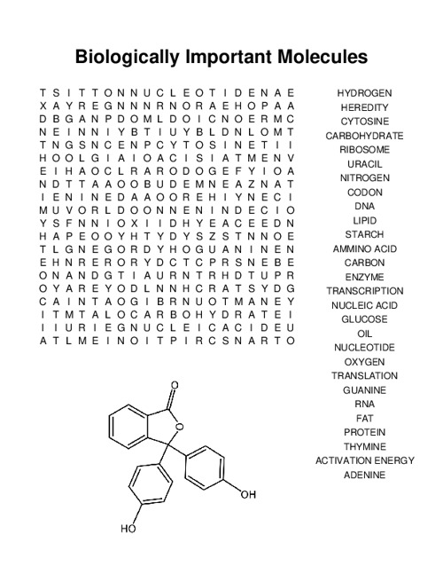 Biologically Important Molecules Word Search Puzzle