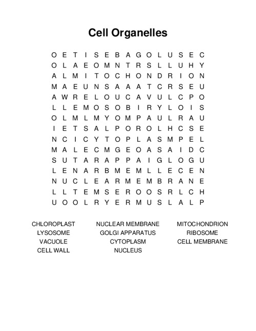 Cell Organelles Word Search Puzzle