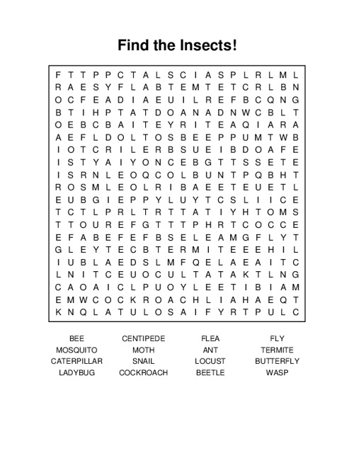 Find the Insects! Word Search Puzzle