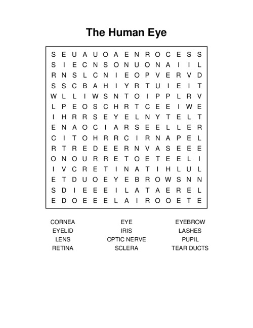 The Human Eye Word Search Puzzle