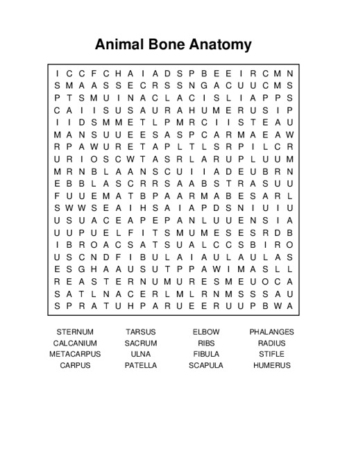 Animal Bone Anatomy Word Search Puzzle