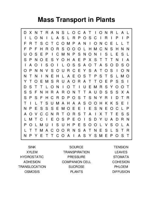 Mass Transport in Plants Word Search Puzzle